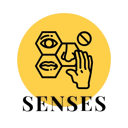 Senses Project